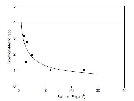 Relative efficiency of broadcast to banded phosphorus for sweet corn as affected by soil-test