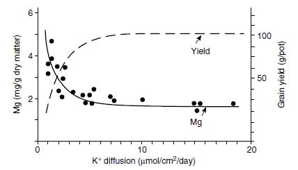 Effect of K+ availability expressed as K+ diffusion rate in soils on the Mg concentration in the aerial plant parts of oats at ear emergence and on grain yield
