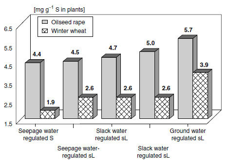 Total sulfur content of young leaves of oilseed rape and total aboveground material of winter wheat at stem extension in relation to soil hydrological parameters and soil texture