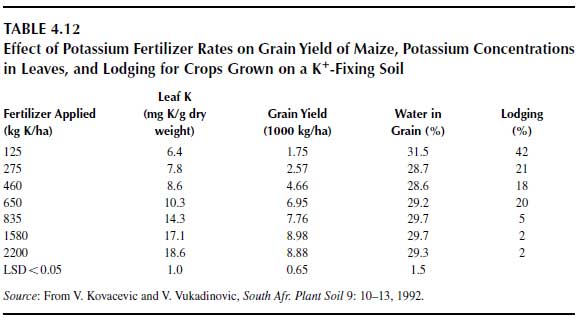 Effect of Potassium Fertilizer Rates on Grain Yield of Maize, Potassium Concentrations in Leaves, and Lodging for Crops Grown on a K+ -Fixing Soil