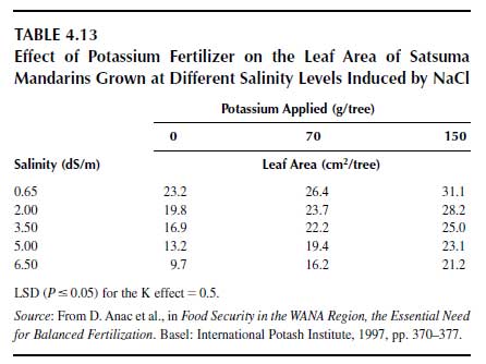 Effect of Potassium Fertilizer on the Leaf Area of Satsuma Mandarins Grown at Different Salinity Levels Induced by NaCl