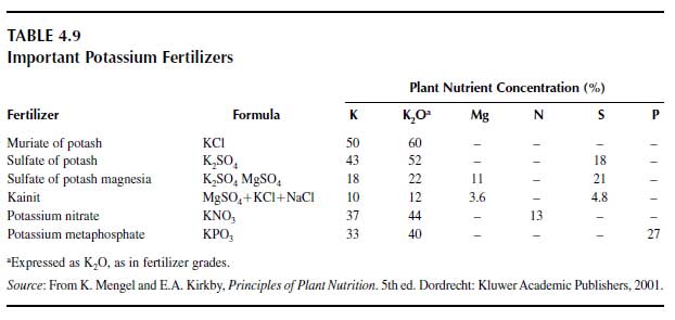 Important Potassium Fertilizers