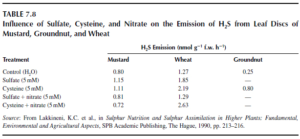 Influence of Sulfate, Cysteine, and Nitrate on the Emission of H2S from Leaf Discs of Mustard, Groundnut, and Wheat