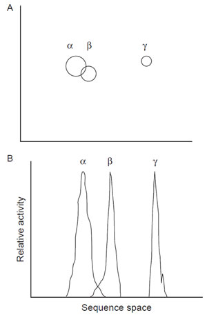FIGURE 2.3 (A) Sequence space; (B) Fitness landscape. α, β, and γ represent enzymes with different activities.