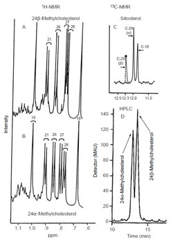 FIGURE 9.7 Spectroscopic and chromatographic analysis of sterols.