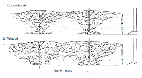 Figure 17.16 Subsoiling . The subsoiler is drawn through the soil to burst open compacted zones. It leaves cracks which remain open to improve aeration, drainage, and root penetration. The cracks created should link up with artificial drainage systems unless the lower layers are naturally free draining