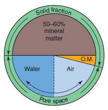 Figure 17.2 Composition of a typical cultivated soil. The solid fraction of the soil is made up of mineral (50–60 per cent) and organic (1–5 per cent) matter. This leaves a total pore space of 35–50 per cent that is filled by air and water, the proportions of which vary constantly.