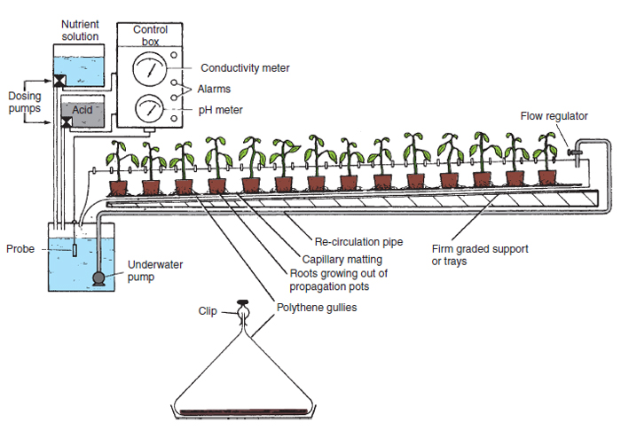 Figure 22.5 Nutrient film technique layout. The nutrient solution is pumped up to the top of the gullies. The solution passes down the gullies in a thin film and is returned to the catchment tank. The pH and nutrient levels in the catchment tank are monitored and adjusted as appropriate.