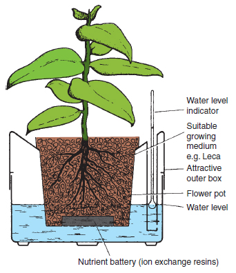 Figure 22.8 Plant pots with water reserves. Plants grown in a variety of growing media can be fitted with reservoirs that supply water by capillarity. A water level indicator is frequently incorporated and in some systems the nutrients are supplied from ion exchange resins. While this system can be used for any pot size it is particularly attractive in large displays